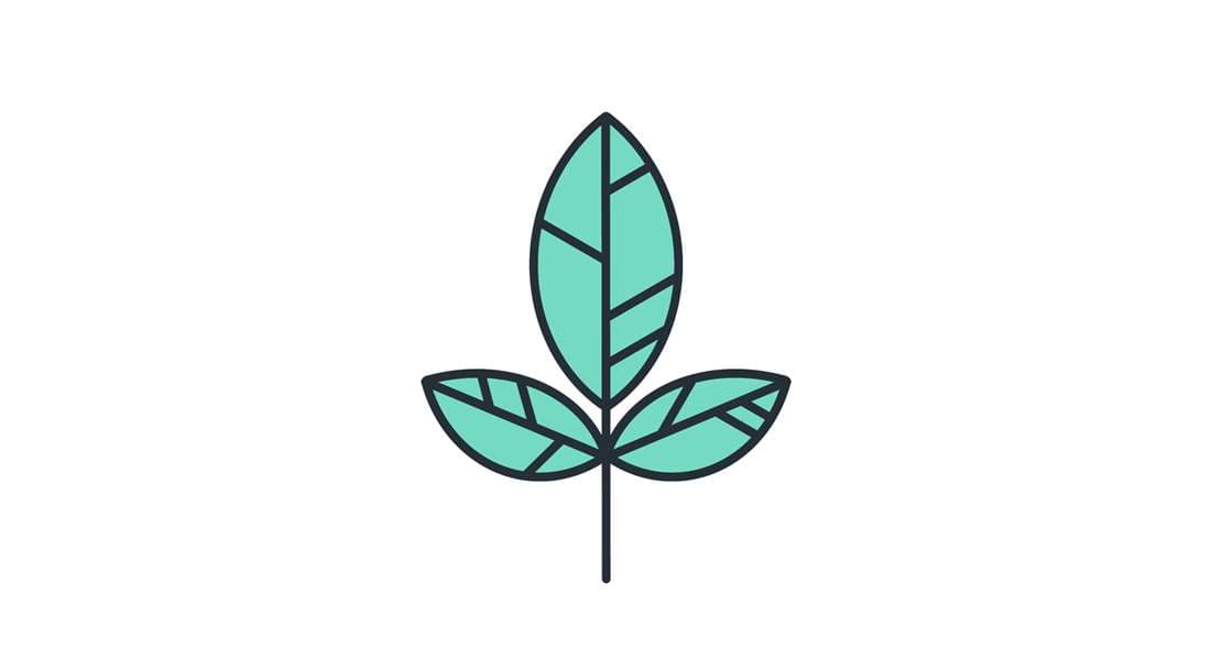Благотворительный курс по Генетике